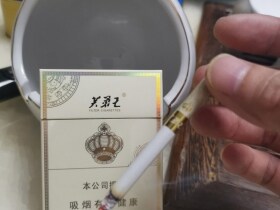 芙蓉王(王之荣耀)