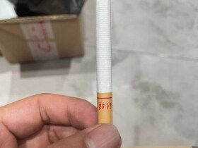 利群(长嘴菲律宾版)