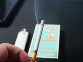 云烟(小熊猫家园)