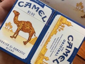 骆驼(硬蓝美版)