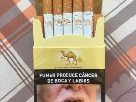 骆驼(硬黄阿根廷版)