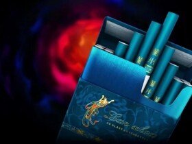 兰州(飞天花径中支)