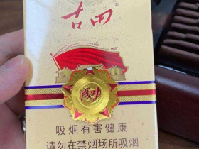 七匹狼古田成功中支