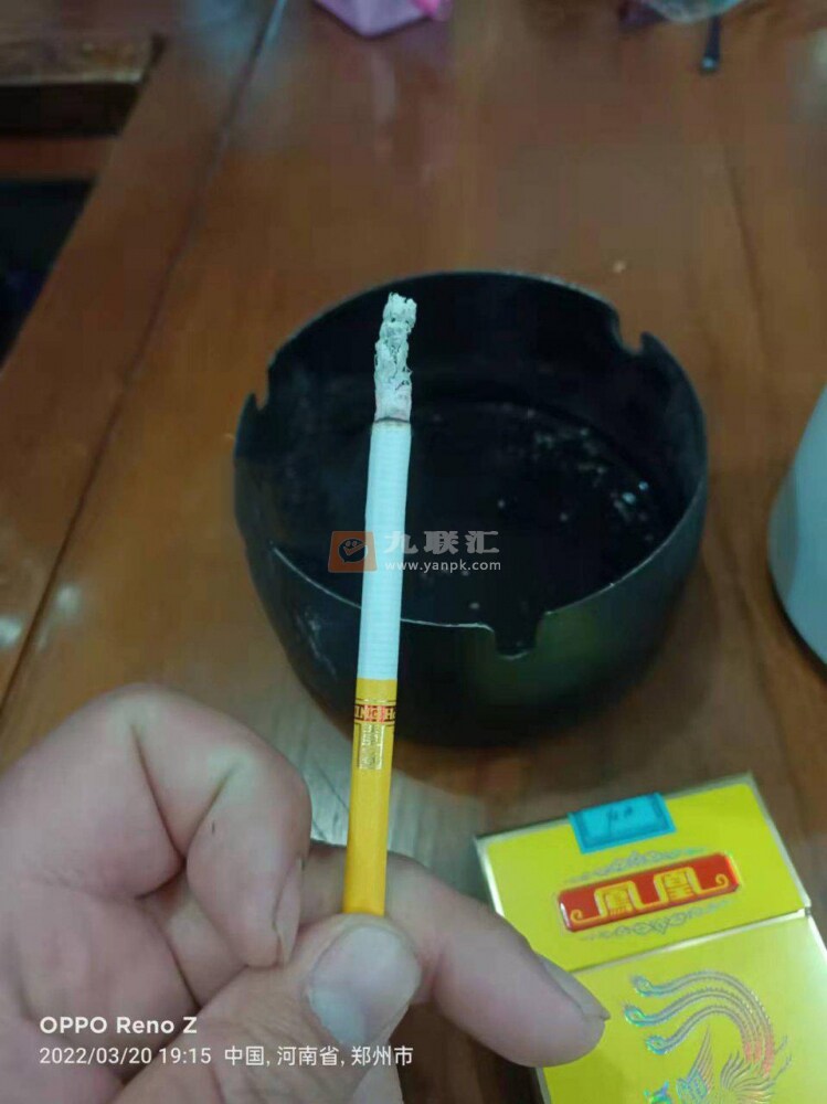 牡丹(凤凰细支)相册 95808_19593