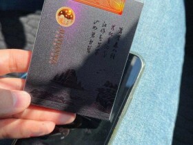 真龙(甲天下中支)