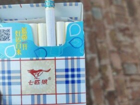 七匹狼(蓝带中支)