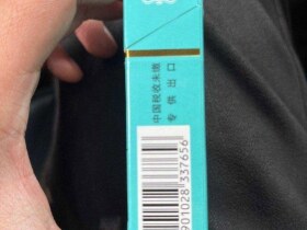 小熊猫(精品出口)