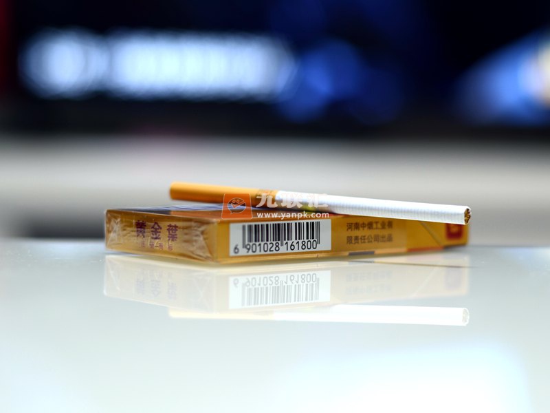 黄金叶(金炫尚)相册 103101_13617