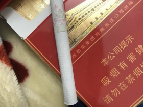 中华(双中支中免版)