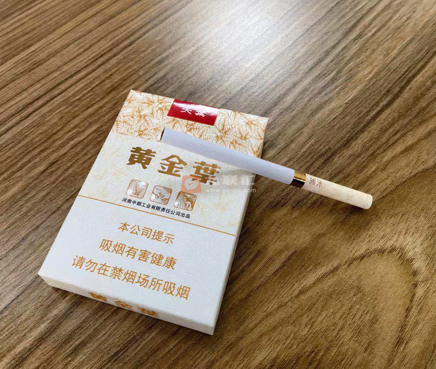 黄金叶(天叶中支)相册 95666_97956