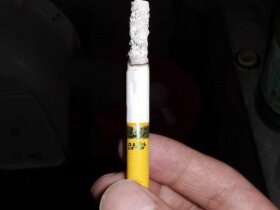 钻石(金一品荷花)