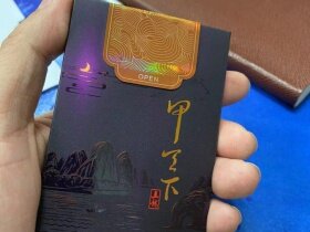 真龙(甲天下中支)