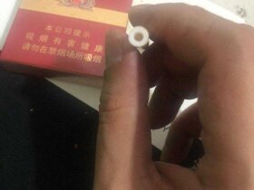 冬虫夏草(红中支)