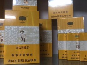 云烟(云端中支)