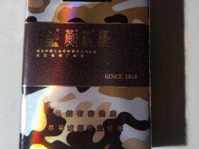 黄鹤楼(为了谁·长彩软短)