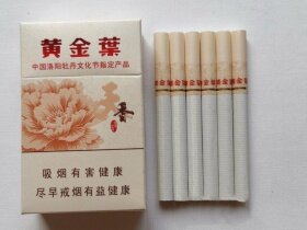 黄金叶(天香.洛阳牡丹文化节)