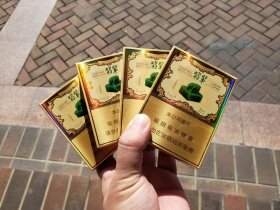 玉溪(翡翠双中支)