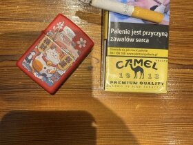 骆驼(硬黄波兰版)