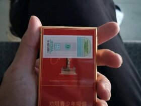 中华(细支中免版)