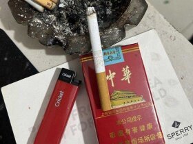 中华(软2023癸卯兔年贺岁版)