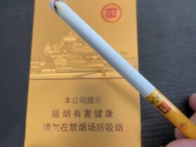 七匹狼(金砖中支)