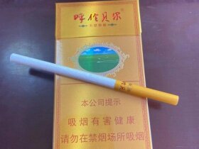 呼伦贝尔(天堂草原)