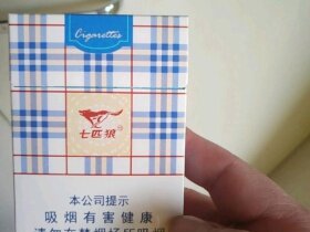 七匹狼(蓝带中支)