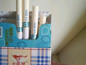 七匹狼(蓝带中支)