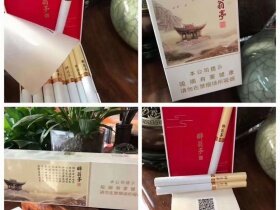 黄山松(醉翁亭)