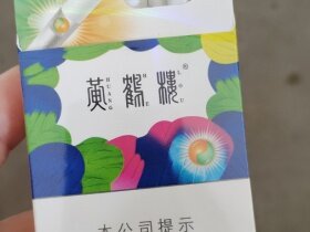 黄鹤楼(天下胜景哈密瓜薄荷双爆珠)