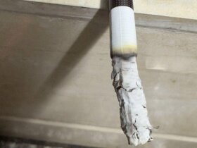 利群(硬阳光出口版)