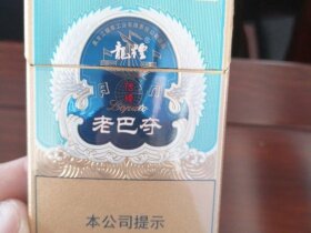 龙烟(老巴夺中支传琦)