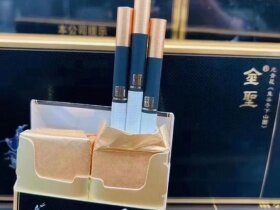 金圣(智圣出山双中支)