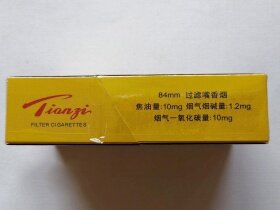 娇子(传奇天子)