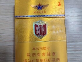 泰山(金将中支)