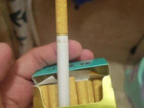 小熊猫(精品出口)