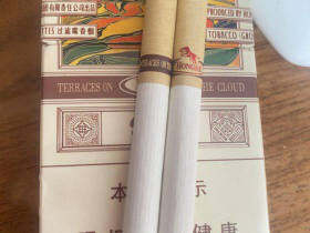 红河(云上梯田)