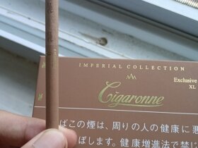 卡比龙(总裁棕色日税版)