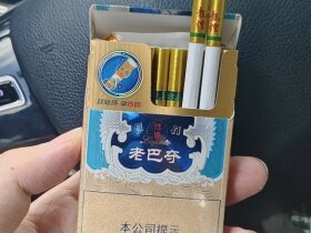 龙烟(老巴夺中支传琦)