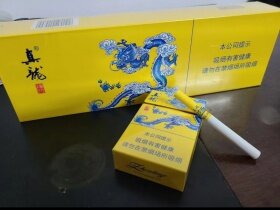真龙(龙行天下)