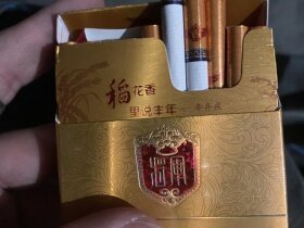 泰山(金将中支)