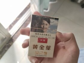 黄金叶(天叶澳门版)