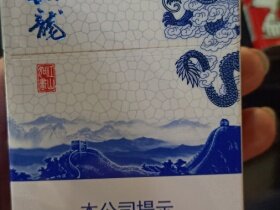 真龙(江山如画)