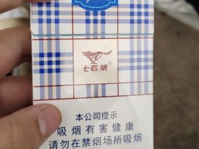 七匹狼(蓝带中支)