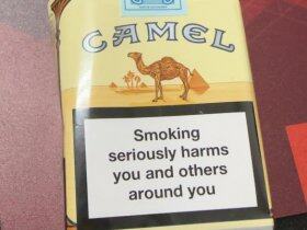 骆驼(无嘴欧盟版)