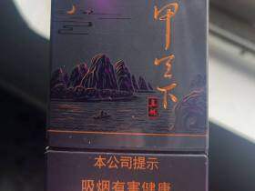 真龙(甲天下中支)