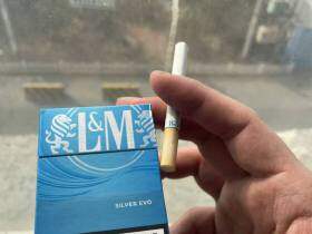 LM(硬银葡萄牙版)