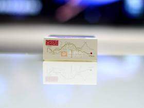 黄金叶(金丝路)