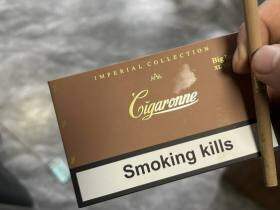 卡比龙(总裁棕色亚太版)