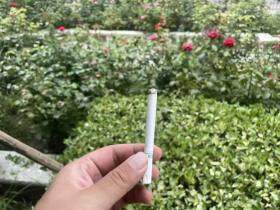 中南海(茶香薄荷味.酷爽风尚)